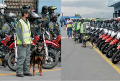 El transporte metropolitano en Quito tendr&aacute; seguridad especial