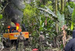 Fuerzas Armadas recuperaron zonas tomadas por la miner&iacute;a ilegal en Imbabura y Napo