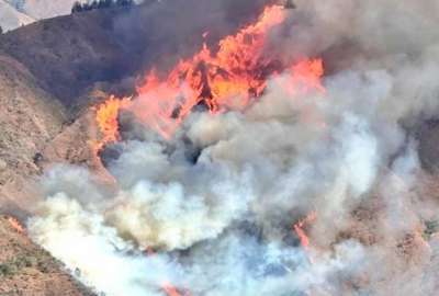 El incendio en Quilanga afect&oacute; m&aacute;s de 7.600 hect&aacute;reas de bosque.