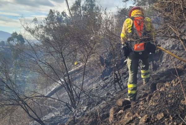 El presunto autor del incendio en El Chiche fue detenido. El sujeto fue entregado a la Polic&iacute;a Nacional.