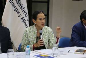 La ministra (e) presidir&aacute; el Comit&eacute; Asesor Permanente en Materia de Energ&iacute;a El&eacute;ctrica.