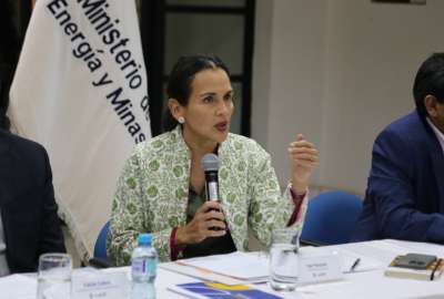 La ministra (e) presidir&aacute; el Comit&eacute; Asesor Permanente en Materia de Energ&iacute;a El&eacute;ctrica.