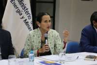 La ministra (e) presidir&aacute; el Comit&eacute; Asesor Permanente en Materia de Energ&iacute;a El&eacute;ctrica.
