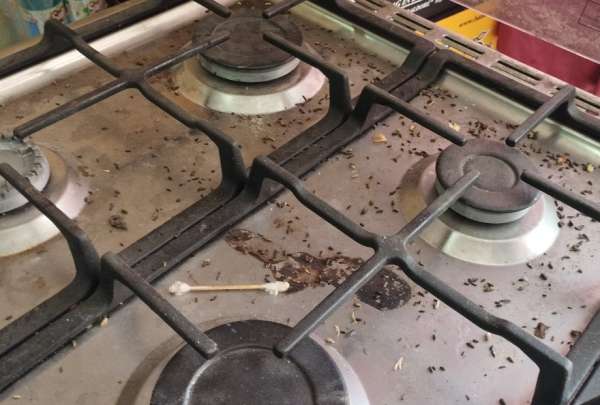Presencia de roedores y alimentos en mal estado desata alarma sanitaria. 
