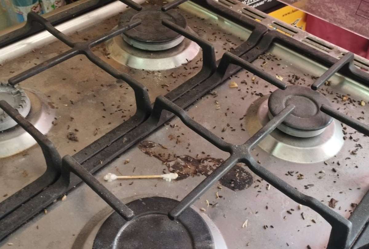 Presencia de roedores y alimentos en mal estado desata alarma sanitaria. 