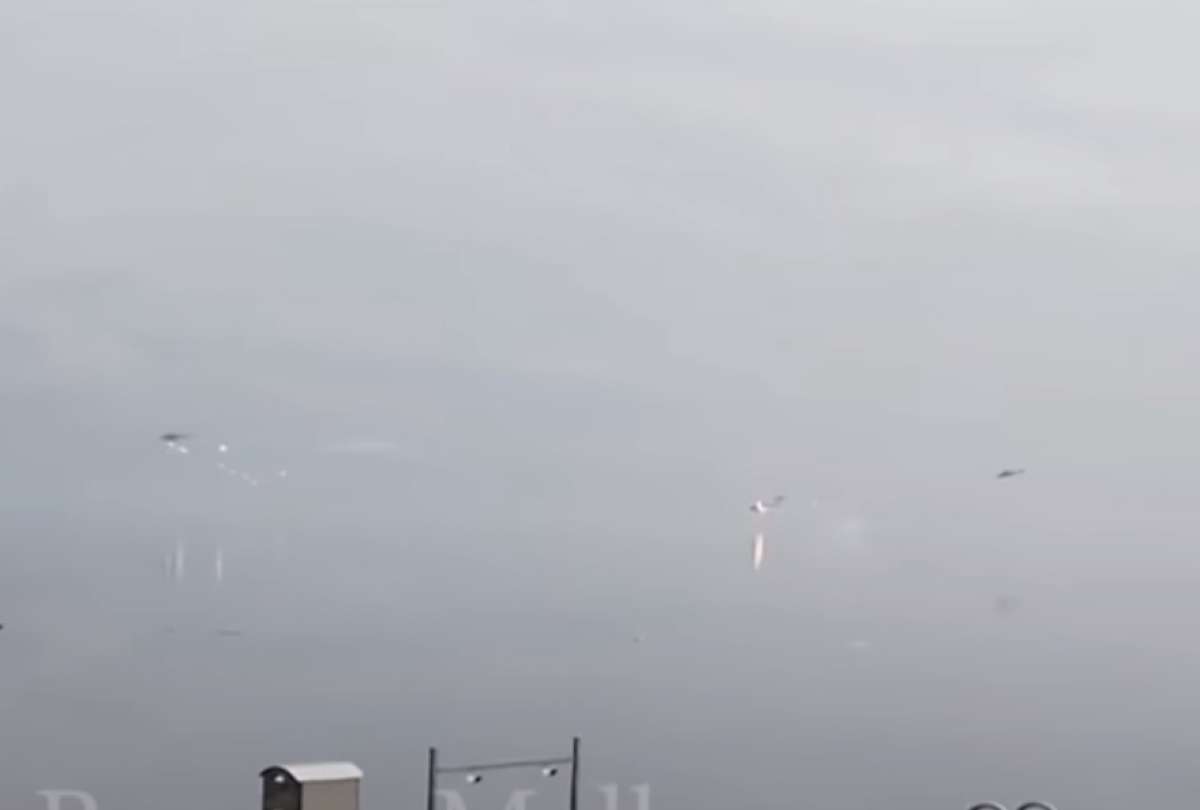 Video muestra a soldados ucranianos derribando helicópteros rusos