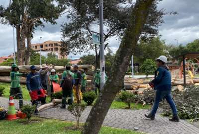 En Cuenca, dos ni&ntilde;os murieron tras la ca&iacute;da de un &aacute;rbol en el parque de La Paz. Hay menores atrapados. 
