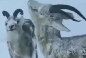 Canad&aacute;, EE. UU. y Noruega son algunos pa&iacute;ses que sufren una ola de fr&iacute;o g&eacute;lido, con temperaturas bajas, vientos fuertes y tormentas de nieve