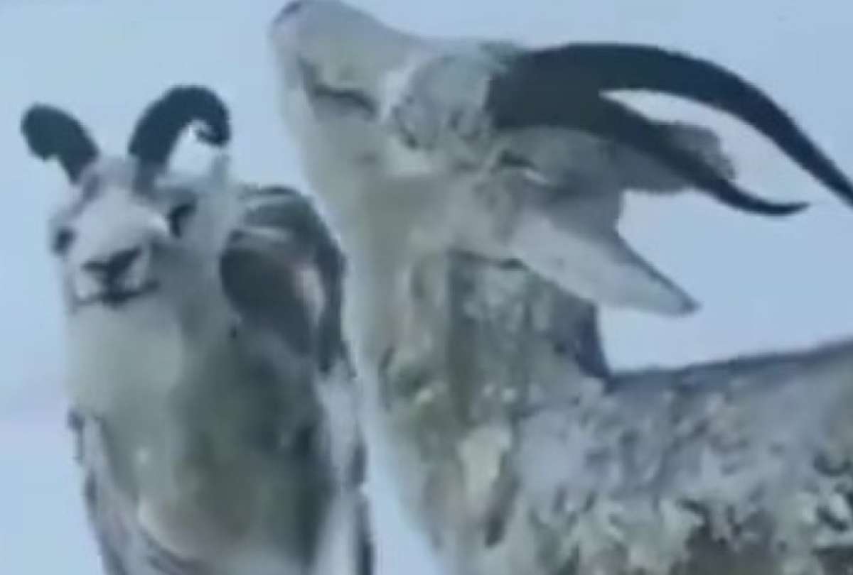 Canad&aacute;, EE. UU. y Noruega son algunos pa&iacute;ses que sufren una ola de fr&iacute;o g&eacute;lido, con temperaturas bajas, vientos fuertes y tormentas de nieve