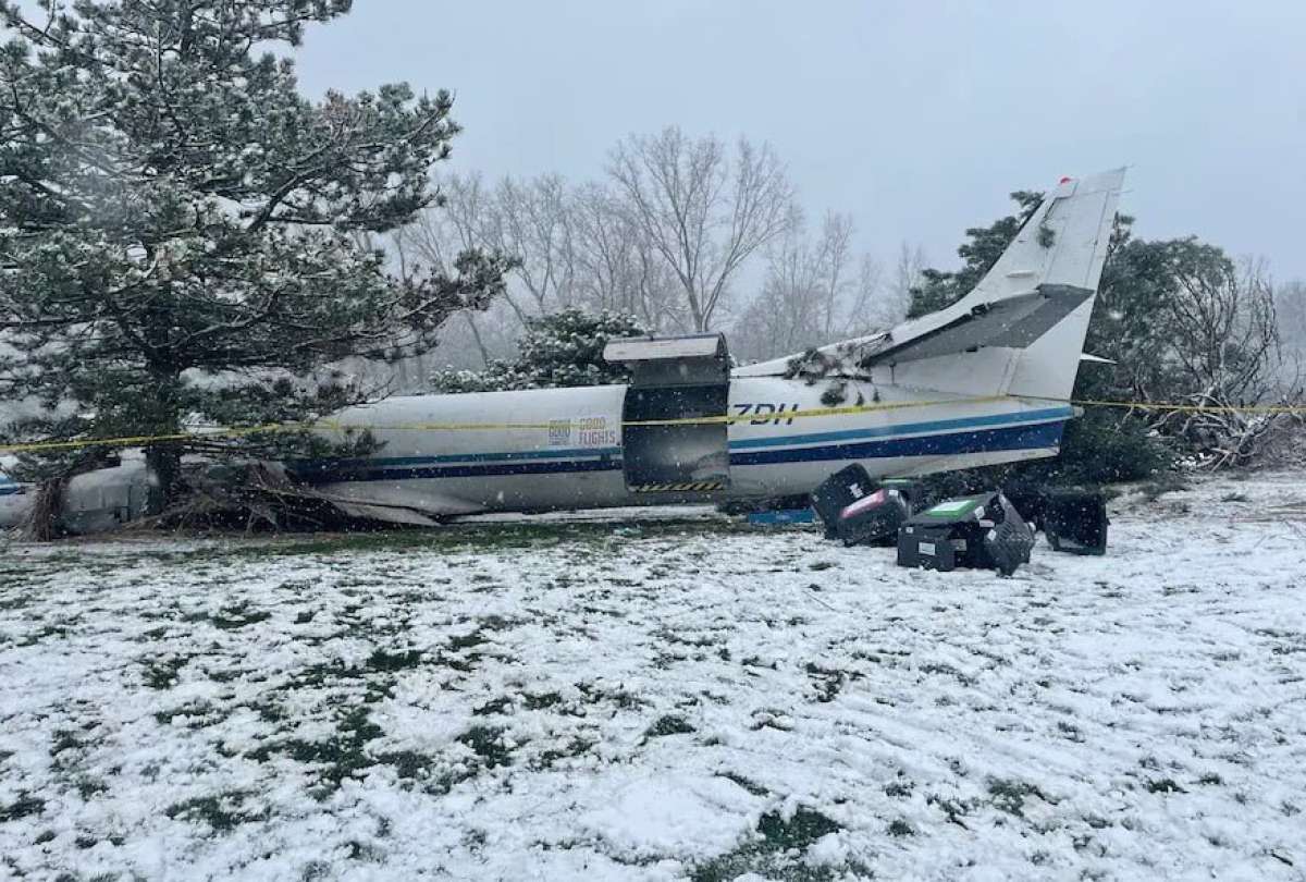 Un avi&oacute;n con 53 perros se estrell&oacute; en Estados Unidos