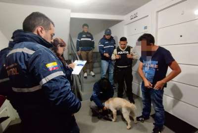 UBA y Polic&iacute;a rescataron a Ninja, un perro que viv&iacute;a maltratado en el sector de Calder&oacute;n, en Quito.