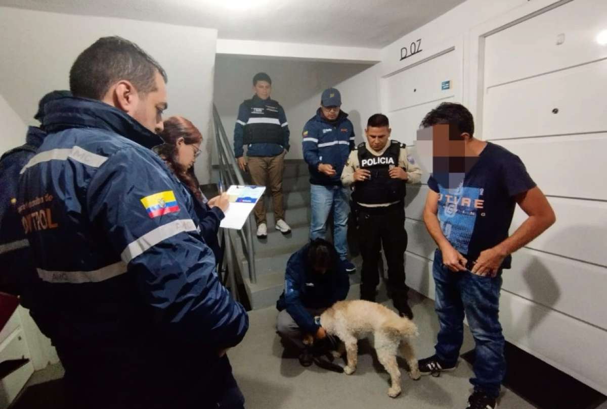 UBA y Policía rescataron a Ninja, un perro que vivía maltratado en el sector de Calderón, en Quito.