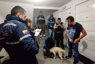Quito: Rescatan a Ninja, perro que sufr&iacute;a maltrato