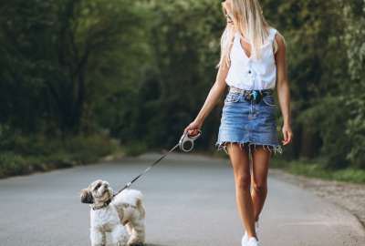 22 de febrero: D&iacute;a Mundial de pasear al perro