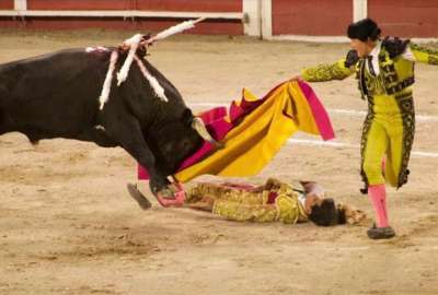Joselito Adame fue embestido por un toro que le caus&oacute; conmoci&oacute;n cerebral