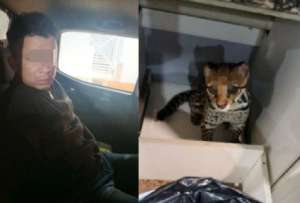 Bloque de Seguridad captur&oacute; a alias &ldquo;Suastegui&rdquo;, presunto integrante de &ldquo;Los &Aacute;guilas&rdquo;