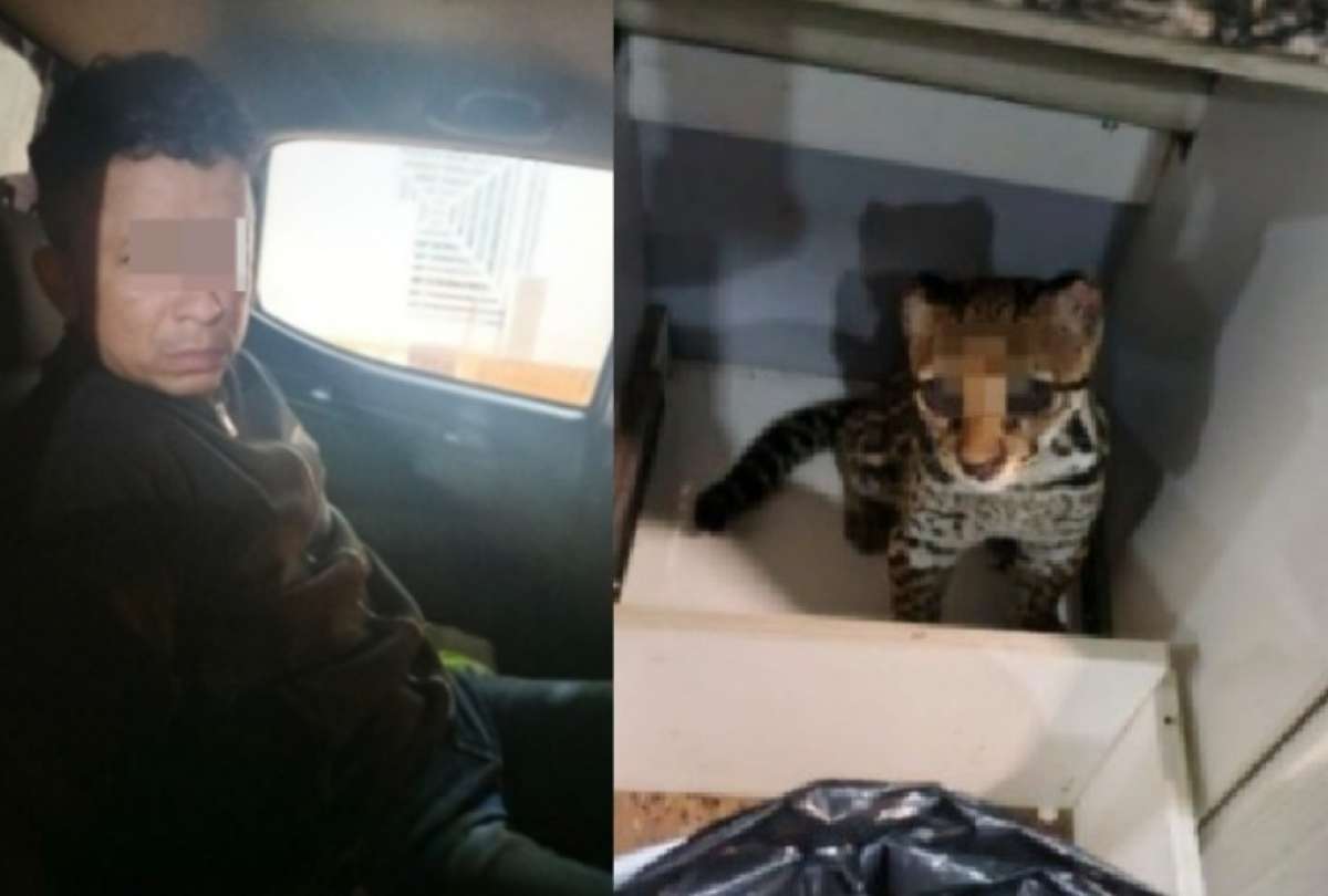 Bloque de Seguridad captur&oacute; a alias &ldquo;Suastegui&rdquo;, presunto integrante de &ldquo;Los &Aacute;guilas&rdquo;