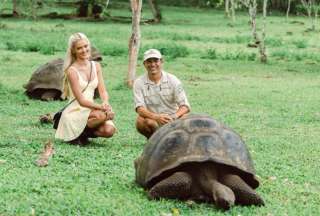 Gal&aacute;pagos: La Miss Universo, Victoria Kj&aelig;r Theilvig, es madrina de 'Hope', una tortuga gigante beb&eacute;