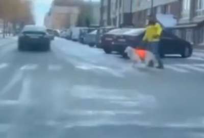 VIDEO: un perro detiene el tr&aacute;fico para que una persona ciega pase