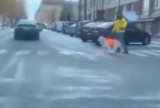 VIDEO: un perro detiene el tr&aacute;fico para que una persona ciega pase