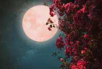 En Ecuador y varios países del mundo se verá la 'Luna de Flores' este lunes.