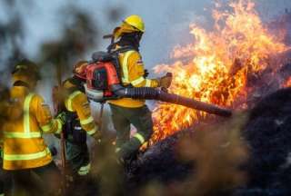 142 personas fueron sancionadas por provocar incendios en Quito
