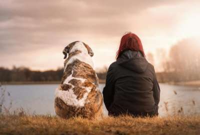 Los perros tambi&eacute;n lloran de felicidad, seg&uacute;n estudio cient&iacute;fico