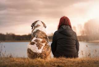 Los perros tambi&eacute;n lloran de felicidad, seg&uacute;n estudio cient&iacute;fico