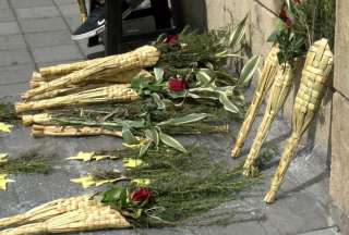 &iexcl;Cuida la palma de cera! Con estos sustitutos podr&aacute;s elaborar los ramos en Semana Santa