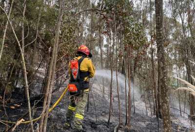 El Cuerpo de bomberos mitig&oacute; el fuego.