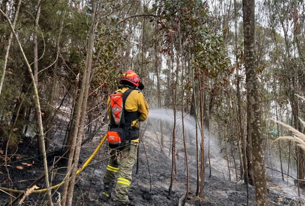 El Cuerpo de bomberos mitigó el fuego.