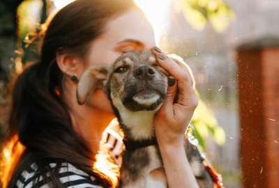 M&aacute;s de 200 mascotas fueron adoptadas en lo que va del a&ntilde;o 2022