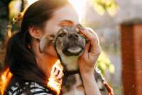 Más de 200 mascotas fueron adoptadas en lo que va del año 2022