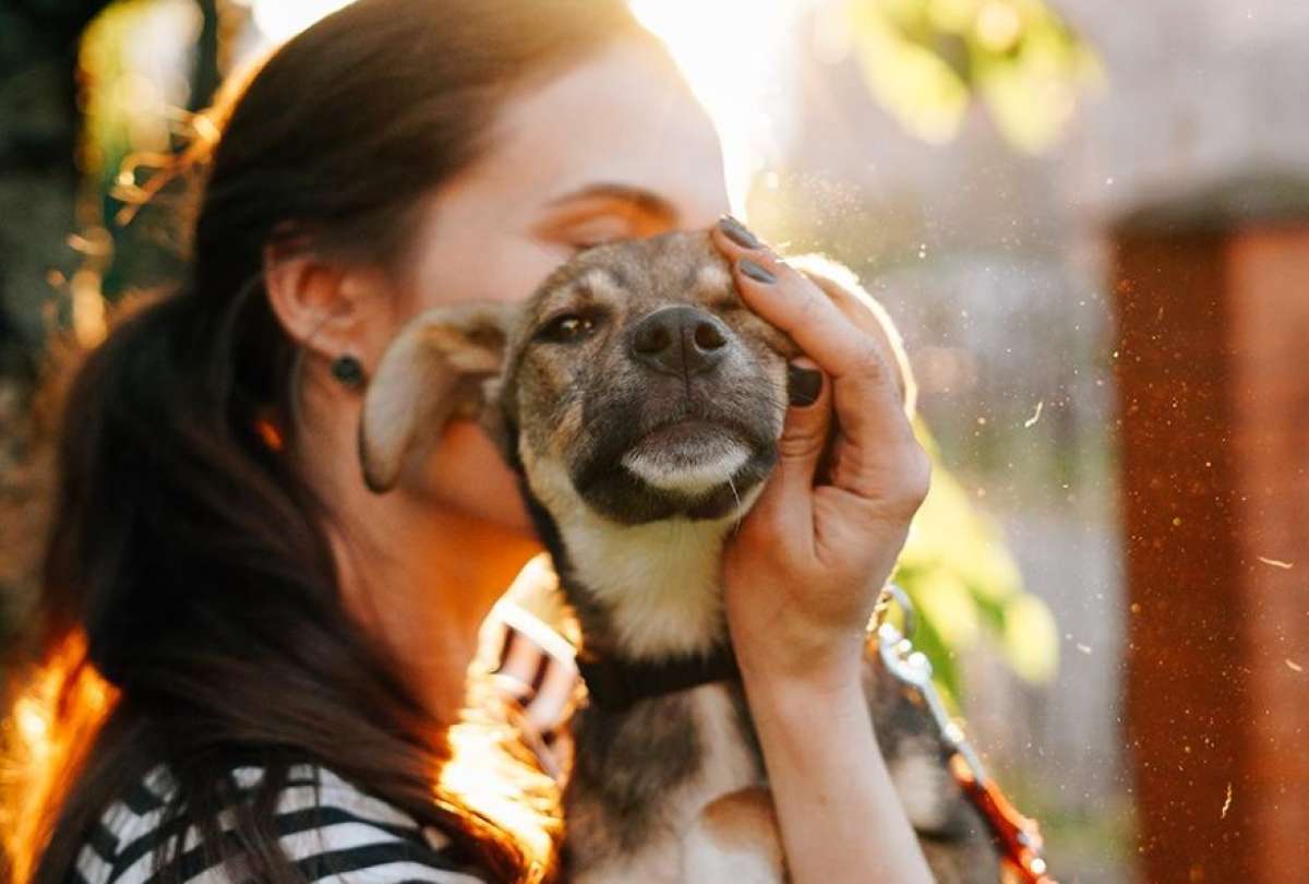 Más de 200 mascotas fueron adoptadas en lo que va del año 2022