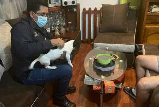 Rescatan a perro agredido en el norte de Quito
