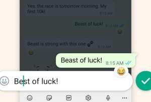 Los mensajes que no logren editarse s&iacute; podr&aacute;n eliminarse