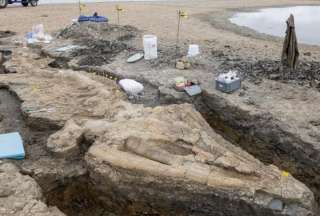 Encuentran el f&oacute;sil de un &ldquo;drag&oacute;n marino&rdquo; en Reino Unido