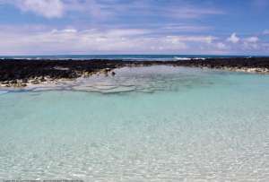 Tortuga Bay, ubicada en la isla Santa Cruz de Galápagos, pone el nombre de Ecuador en alto al ser designada como una de las más bellas playas del mundo.