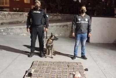 La droga ten&iacute;a como destino Europa.