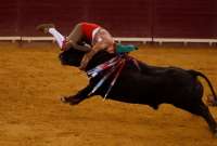 Las heridas provocadas por un toro de 700 kilos, le provocaron la muerte al torero Manuel Trindade. en Portugal.
