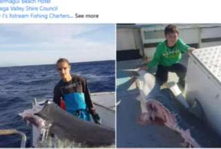 Australia: fotograf&iacute;as de tiburones despedazados causaron revuelo en redes