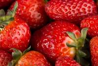 Conoce la fruta que eliminará tus cólicos menstruales