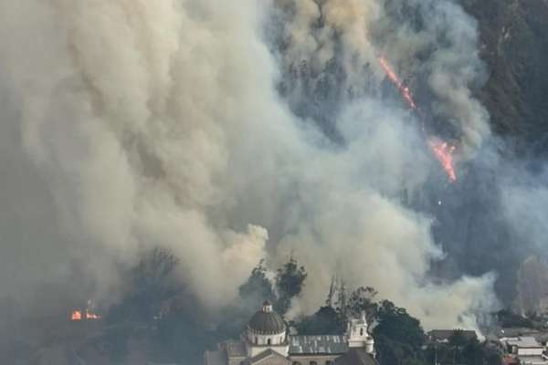 Autoridades hacen un llamado a la ciudadan&iacute;a por los incendios forestales en Gu&aacute;pulo.