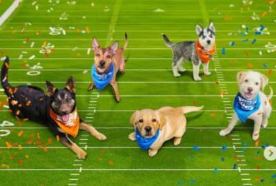 El Puppy Bowl es el encuentro deportivo m&aacute;s tierno que ver&aacute;s en televisi&oacute;n.&nbsp;