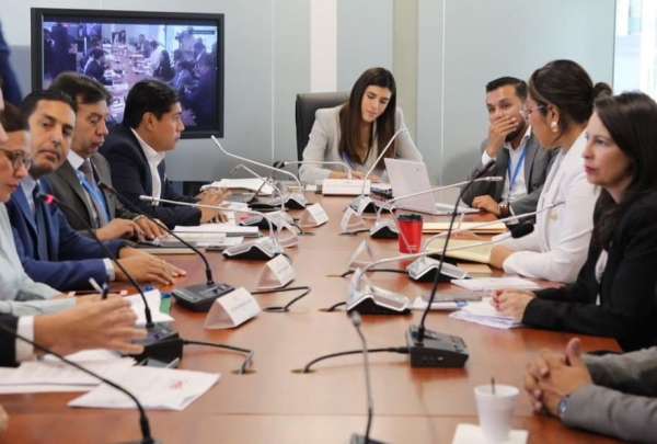 Comisi&oacute;n de Desarrollo Econ&oacute;mico inicipo el tratamiento del proyecto del Gobierno.